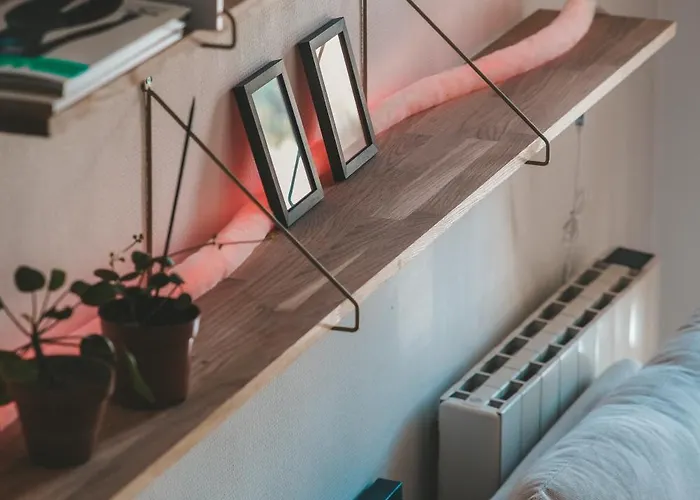 Le Nid Enchante * Perpignan