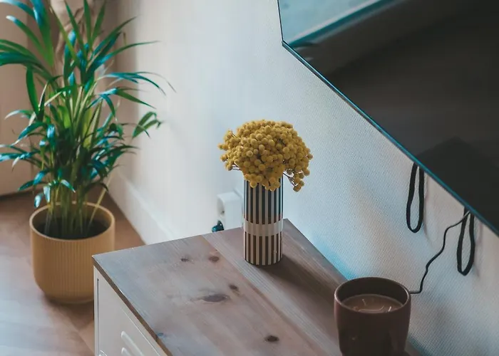 Le Nid Enchante Appartement Perpignan